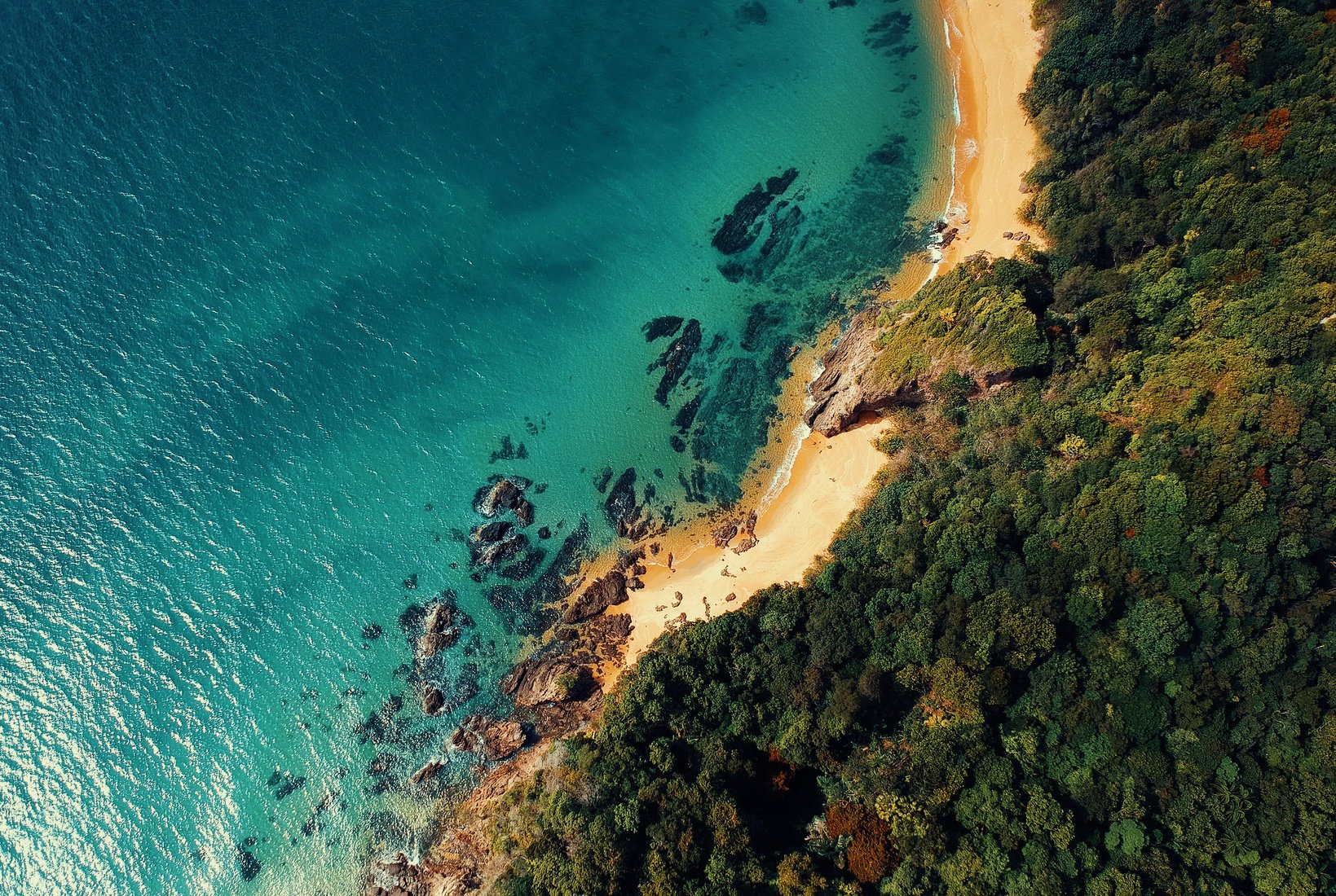 Aerial Photo of Blue Body of Water and Green Leafed Trees